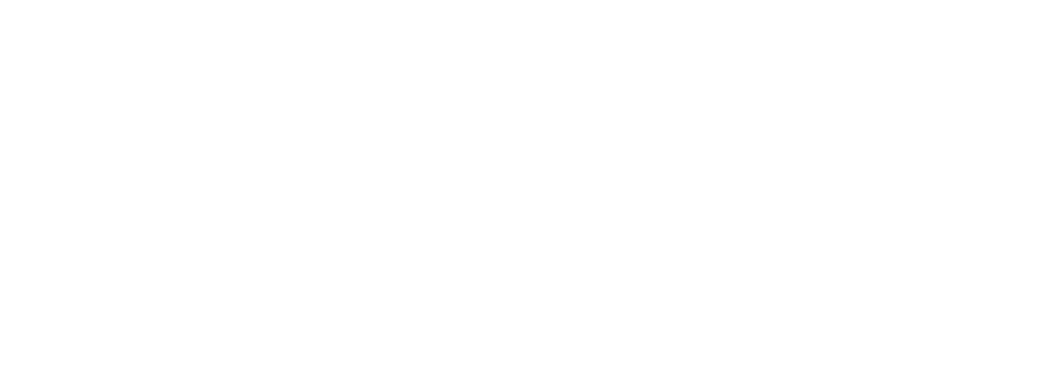 Parallaxa IT Solution Logo